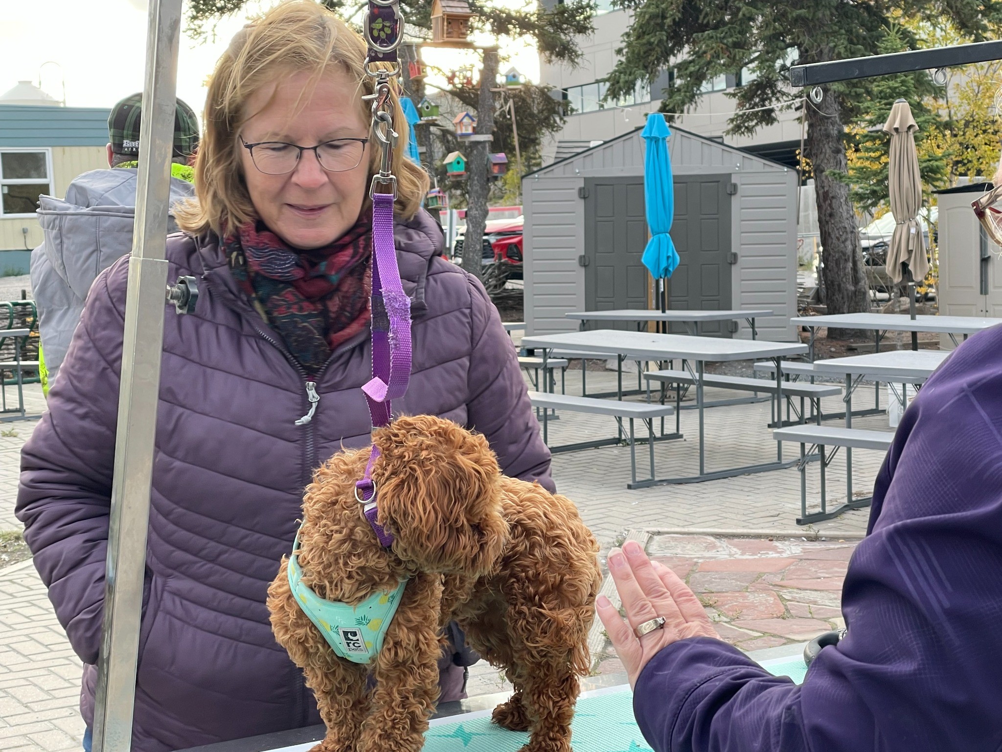 Two men outdoors, one holding a curly dog.